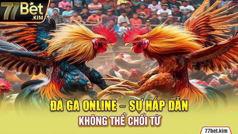 Đá gà online - sự hấp dẫn không thể chối từ