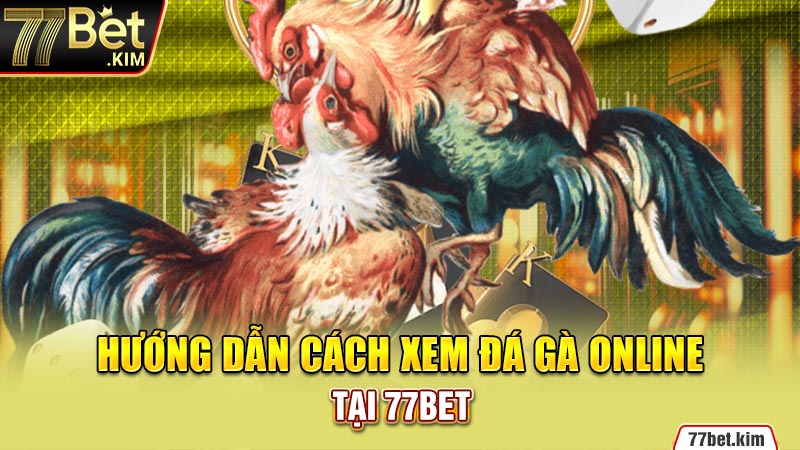 Hướng dẫn cách xem đá gà online tại 77BET